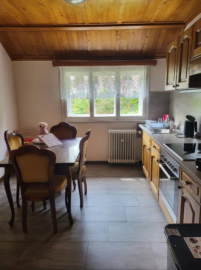 Ela Vital Ferienwohnung Sankt Blasien Exteriör bild